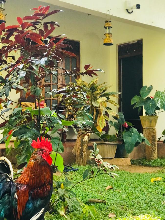Sigiri Lakshan Home Stay Σιγκιρίγια Εξωτερικό φωτογραφία